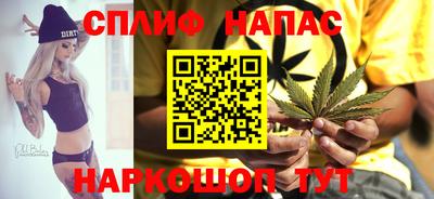 прущие крисы Ачхой-Мартан