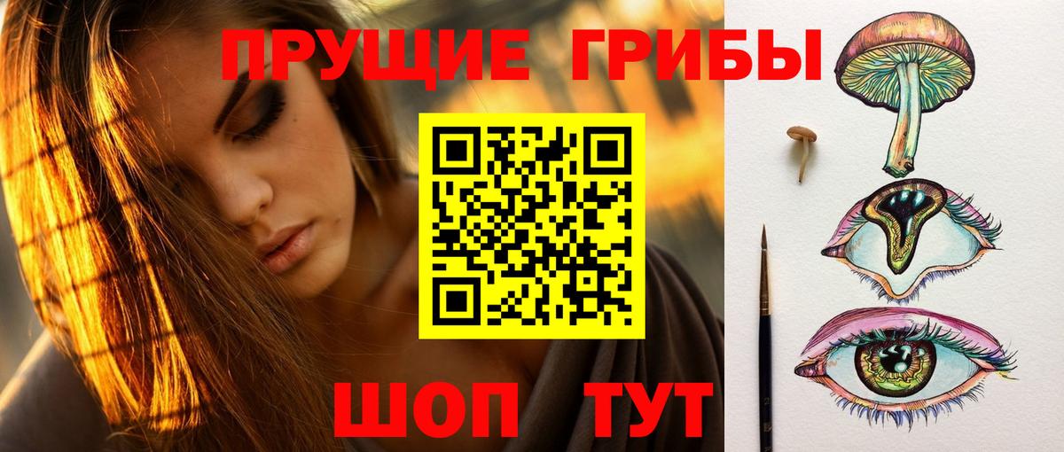 Псилоцибиновые грибы прущие грибы Ишимбай